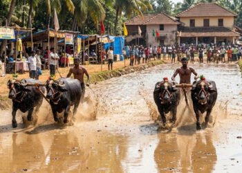 ಕರ್ನಾಟಕದ ಇತರೆ ಜಿಲ್ಲೆಗಳಲ್ಲೂ ಕಂಬಳ ನಡೆಸಲು ಅವಕಾಶ: ಅರ್ಜಿಯನ್ನು ತಳ್ಳಿ ಹಾಕಿದ ಸುಪ್ರೀಂ ಕೋರ್ಟ್