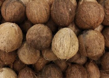 ತೆಂಗಿನಕಾಯಿ ಬಾಕಿ ಹಣದ ವಿಚಾರಕ್ಕೆ ಗಲಾಟೆ : ಅನಾಹುತ ತಪ್ಪಿಸಿದ ಸ್ಥಳೀಯರು