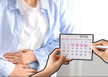 Menstrual leave does not prevent women from getting jobs: Supreme Court