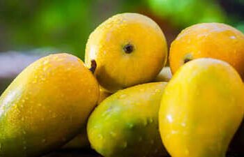 ಮಾವಿನ ಹಣ್ಣಿನ ಕಾಲ ಶುರು: ರಾಸಾಯನಿಕವಾಗಿ ಹಣ್ಣಾದ ಮಾವನ್ನು ಹೇಗೆ ಗುರುತಿಸಬೇಕು?