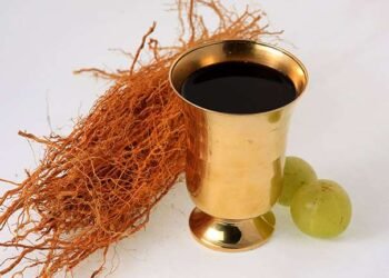 ‘ಅರಿಷ್ಟ’ ಸೇವನೆಯ ನಂತರ ಆದಿವಾಸಿ ವ್ಯಕ್ತಿ ಸಾವು: ವಯನಾಡಿನಲ್ಲಿ ತನಿಖೆ ಆರಂಭ