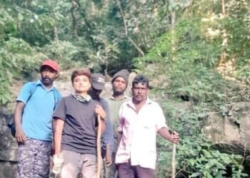 ಬೆಳದಿಂಗಳ ರಾತ್ರಿಗಳು, ಕಲ್ಲಿನ ಮೇಲೆ ನಿದ್ರೆ: ಕಾಡಿನಲ್ಲಿ ಬದುಕುಳಿದು ಬಂದಿರುವ ಶರಣ್ಯಾಳ ಕಥೆ