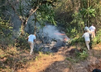 ಕಾಡ್ಗಿಚ್ಚಿನಿಂದ ಅಪಾರ ನಷ್ಟ : ಅರಣ್ಯ ಇಲಾಖೆ ಅಧಿಕಾರಿಗಳ ತಂಡದಿಂದ ಬೆಂಕಿ ನಿಯಂತ್ರಿಸಲು ಪ್ರಯತ್ನ