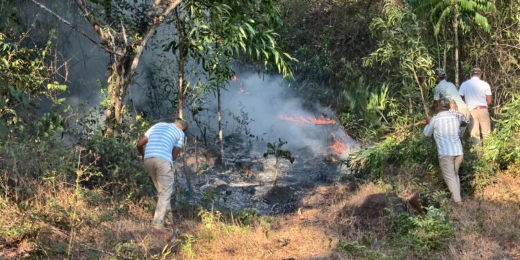 ಕಾಡ್ಗಿಚ್ಚಿನಿಂದ ಅಪಾರ ನಷ್ಟ : ಅರಣ್ಯ ಇಲಾಖೆ ಅಧಿಕಾರಿಗಳ ತಂಡದಿಂದ ಬೆಂಕಿ ನಿಯಂತ್ರಿಸಲು ಪ್ರಯತ್ನ