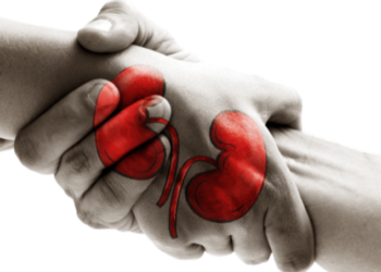 ಮಲ್ಟಿ-ಪೇರ್ ಕಿಡ್ನಿ ಎಕ್ಸ್ಚೇಂಜ್: ಅಂಗ ದಾನ ವ್ಯವಸ್ಥೆ ಮತ್ತಷ್ಟು ಬಲಪಡಿಸಲು ಮಹತ್ವದ ಹೆಜ್ಜೆ