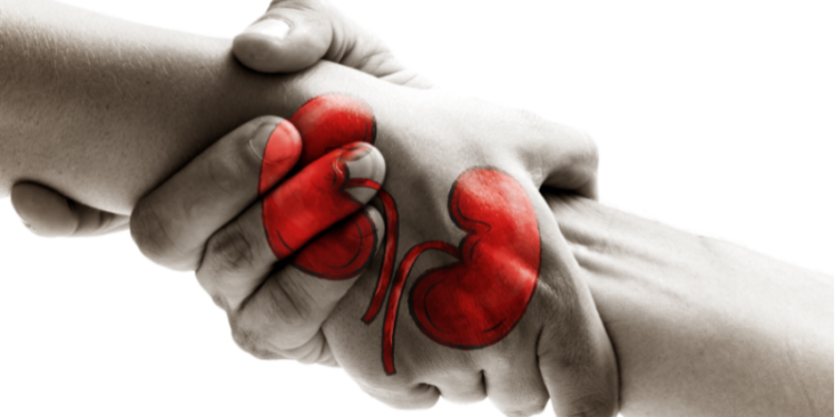 ಮಲ್ಟಿ-ಪೇರ್ ಕಿಡ್ನಿ ಎಕ್ಸ್ಚೇಂಜ್: ಅಂಗ ದಾನ ವ್ಯವಸ್ಥೆ ಮತ್ತಷ್ಟು ಬಲಪಡಿಸಲು ಮಹತ್ವದ ಹೆಜ್ಜೆ