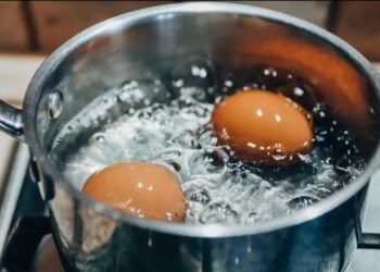 ಮೊಟ್ಟೆ ಬೇಯಿಸುವಾಗ ನೀರಿಗೆ ಉಪ್ಪು ಹಾಕುವುದು ವ್ಯರ್ಥವೇ?