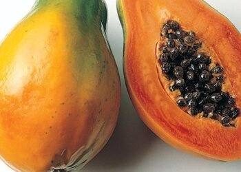 ಪಪ್ಪಾಯಿ ಹಣ್ಣು: ಚರ್ಮದ ಆರೈಕೆಗೆ ನೈಸರ್ಗಿಕ ಮಂತ್ರ