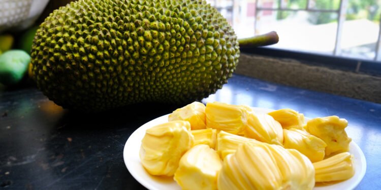 ಹಲಸಿನ ಹಣ್ಣು : ಬೇಸಿಗೆಯಲ್ಲಿ ಆರೋಗ್ಯದ ಅಮೃತ