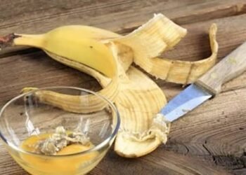 ಬಾಳೆ ಸಿಪ್ಪೆ ಫೇಸ್ ಪ್ಯಾಕ್: ನೈಸರ್ಗಿಕವಾಗಿ ಹೊಳೆಯುವ ತ್ವಚೆಗೆ ಸರಳ ಪರಿಹಾರ