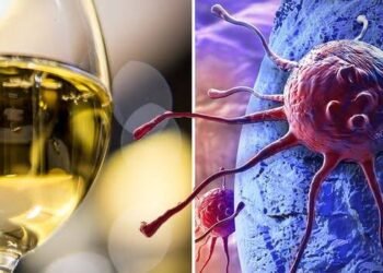 ವೈದ್ಯರ ಹೊಸ ಅಧ್ಯಯನದ ಪ್ರಕಾರ ಮದ್ಯಪಾನದಿಂದ ಕ್ಯಾನ್ಸರ್ ಪ್ರಕರಣಗಳು ಹೆಚ್ಚಳ