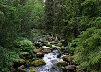 ನೀರು ಕುಡಿಯುವಾಗ ಅದರ ಮೂಲವನ್ನು ನೆನಪಿಸಿಕೊಳ್ಳಿ – ಚೀನಿಯರ ಈ ಮಾತಿನ ಅರ್ಥವೇನು?
