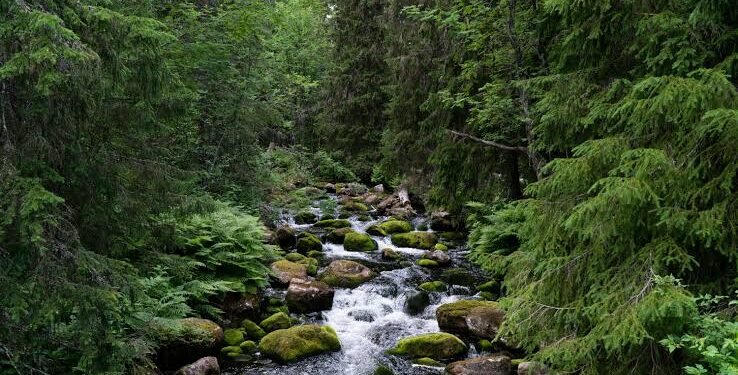 ನೀರು ಕುಡಿಯುವಾಗ ಅದರ ಮೂಲವನ್ನು ನೆನಪಿಸಿಕೊಳ್ಳಿ – ಚೀನಿಯರ ಈ ಮಾತಿನ ಅರ್ಥವೇನು?