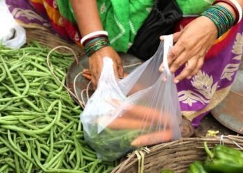 ಮದುವೆ ಮಂದಿರಗಳು, ಸಾರ್ವಜನಿಕ ಕಾರ್ಯಕ್ರಮಗಳಲ್ಲಿ ಪ್ಲಾಸ್ಟಿಕ್ ಬಳಕೆಗೆ ಕಡಿವಾಣ: ಬೆಂಗಳೂರಿನಲ್ಲಿ ಕಠಿಣ ಕ್ರಮ