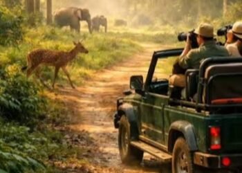 ದುಬಾರೆ ದುರಂತದ ಬಳಿಕ ಕ್ರಮ: ಕರ್ನಾಟಕದಲ್ಲಿ ಓಪನ್ ಜೀಪ್ ಸಫಾರಿಗೆ ಬ್ರೇಕ್?