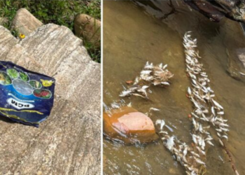 Sinners who fed poison to the fish of Lord Shishila