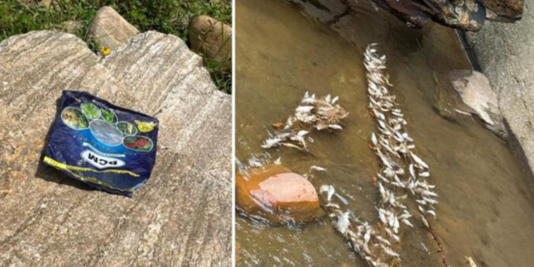 Sinners who fed poison to the fish of Lord Shishila