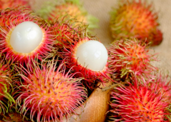 Farmer uproots rubber plantation and grows rambutan: Earns Rs 2 crore per year