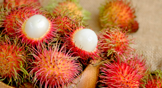 Farmer uproots rubber plantation and grows rambutan: Earns Rs 2 crore per year