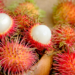 Farmer uproots rubber plantation and grows rambutan: Earns Rs 2 crore per year