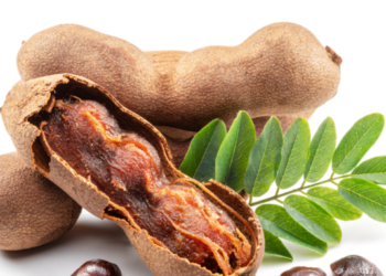 Is tamarind useful in reducing hair loss? Here is the complete information