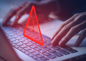 How much money has been frozen in Karnataka in a cyber fraud case?