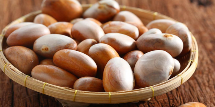 ಹಲಸಿನ ಹಣ್ಣಿನ ಬೀಜ: ಪೌಷ್ಟಿಕಾಂಶಗಳ ಭಂಡಾರ