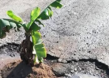 ಗುಂಡಿ ಮುಚ್ಚದ ಅಧಿಕಾರಿಗಳಿಗೆ ಬಾಳೆ ಗಿಡದ ಮೂಲಕ ತಕ್ಕ ಉತ್ತರ