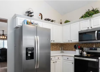 Do you have these things on your fridge? Here's the warning from Vastu
