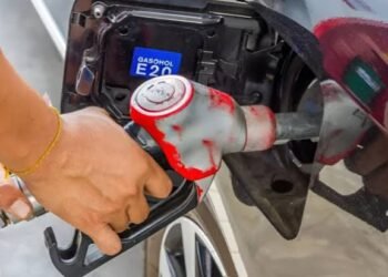 E20 ಇಂಧನದ ನಿಜಸ್ವರೂಪ ಬಿಚ್ಚಿಟ್ಟ ಕೇಂದ್ರ ಸರ್ಕಾರ