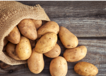 Does eating too many potatoes reduce concentration? What do experts say?