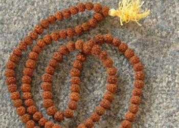 How does 'Rudraksha' protect one's energy? What did Sadhguru say?