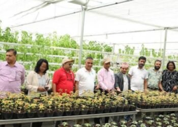 ತೋಟಗಾರಿಕೆ ಇಲಾಖೆಯಲ್ಲಿ 85 ಹುದ್ದೆಗಳ ನೇಮಕಾತಿ; ಆ.30 ಅರ್ಜಿ ಸಲ್ಲಿಕೆಗೆ ಕೊನೇ ದಿನ