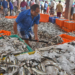 Fish trade halted: CM DKSHI furious with officials