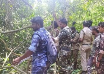ಅರಣ್ಯ ಇಲಾಖೆ ಸಿಬ್ಬಂದಿಗೆ ಗುಡ್ನ್ಯೂಸ್: ಭತ್ಯೆ ಹೆಚ್ಚಳಕ್ಕೆ ಸರ್ಕಾರದ ಭರವಸೆ