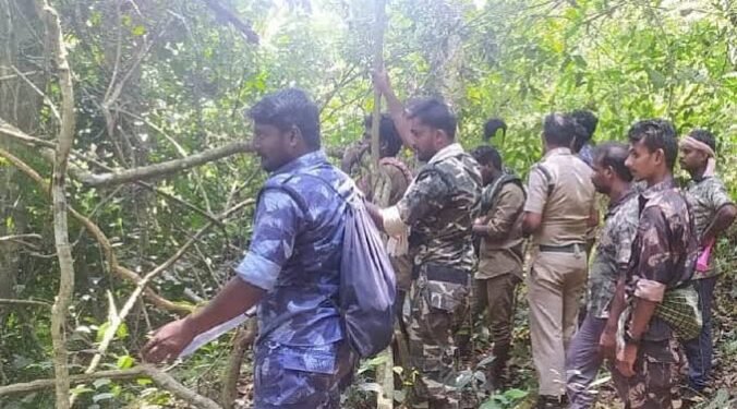ಅರಣ್ಯ ಇಲಾಖೆ ಸಿಬ್ಬಂದಿಗೆ ಗುಡ್ನ್ಯೂಸ್: ಭತ್ಯೆ ಹೆಚ್ಚಳಕ್ಕೆ ಸರ್ಕಾರದ ಭರವಸೆ